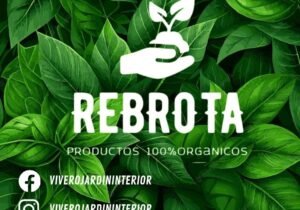 Sustrato y fertilizantes